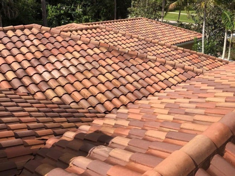 Roof Cleaning Services