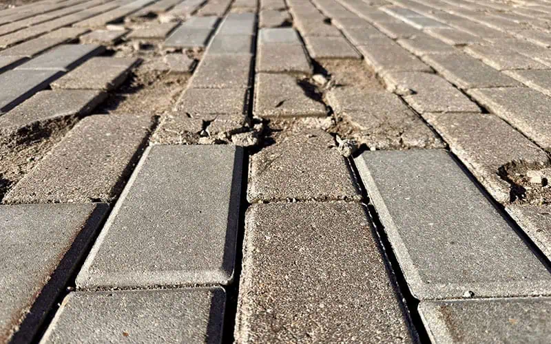 How Florida Weather Destroys Your Pavers