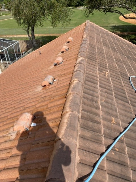 roof cleaning in indian river estates fl