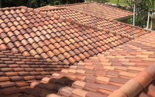 Roof Cleaning Services