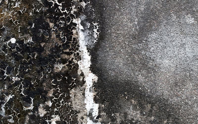 Why Is My Concrete Turning Black? Why Is My Concrete Turning Black?
